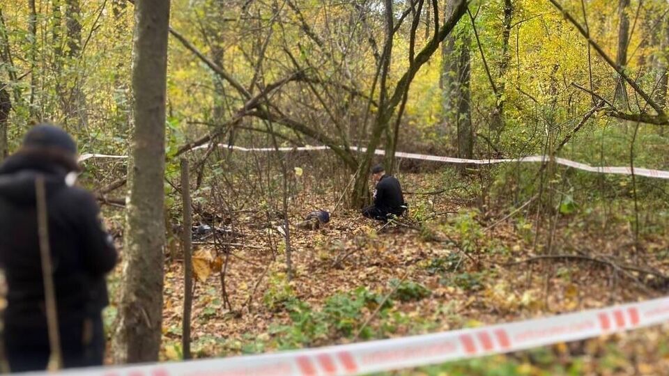 Тіло вбитого агресорами мирного жителя виявили поблизу селища Немішаєве
