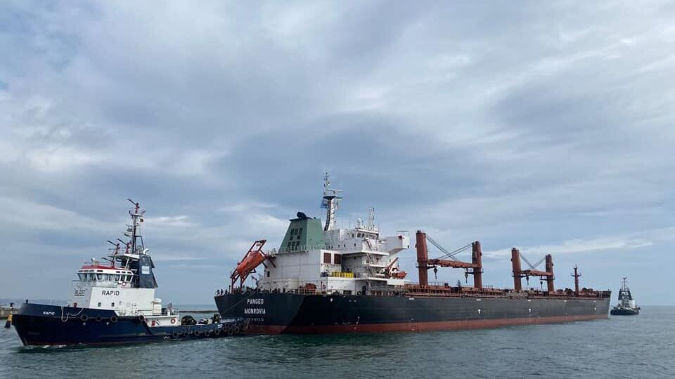 За время действия "зерновой инициативы" Украина экспортировала морскими путями 8,8 млн тонн агропродукции