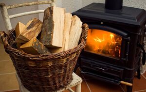 Бесплатные дрова и другое топливо для обогрева получат до 70 тыс. домохозяйств