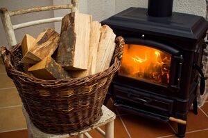 Бесплатные дрова и другое топливо для обогрева получат до 70 тыс. домохозяйств