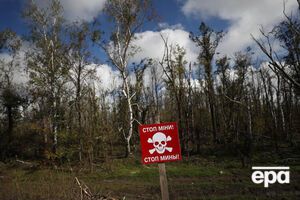 В Харьковской ОВА призвали жителей области не посещать леса, лесополосы и поля, а также не ходить по обочинам дорог