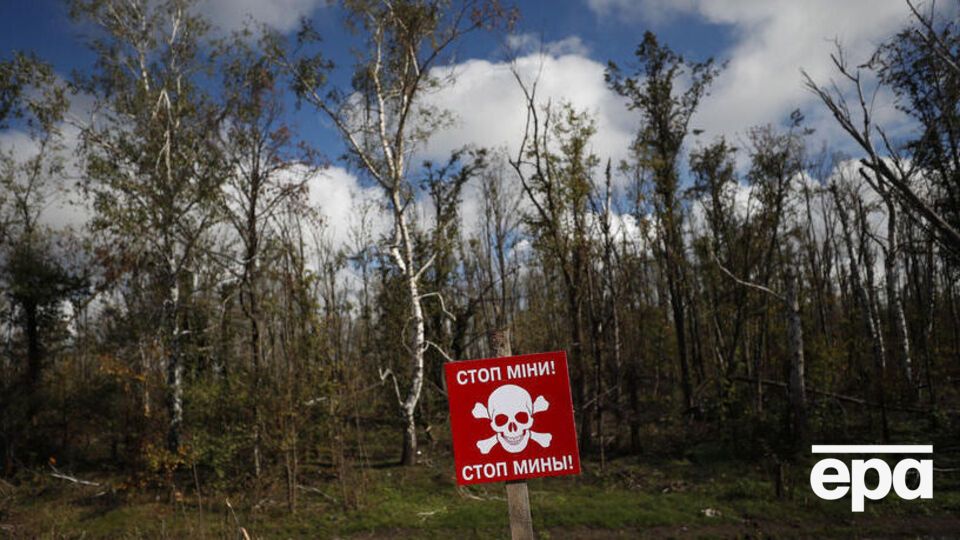 В Харьковской ОВА призвали жителей области не посещать леса, лесополосы и поля, а также не ходить по обочинам дорог