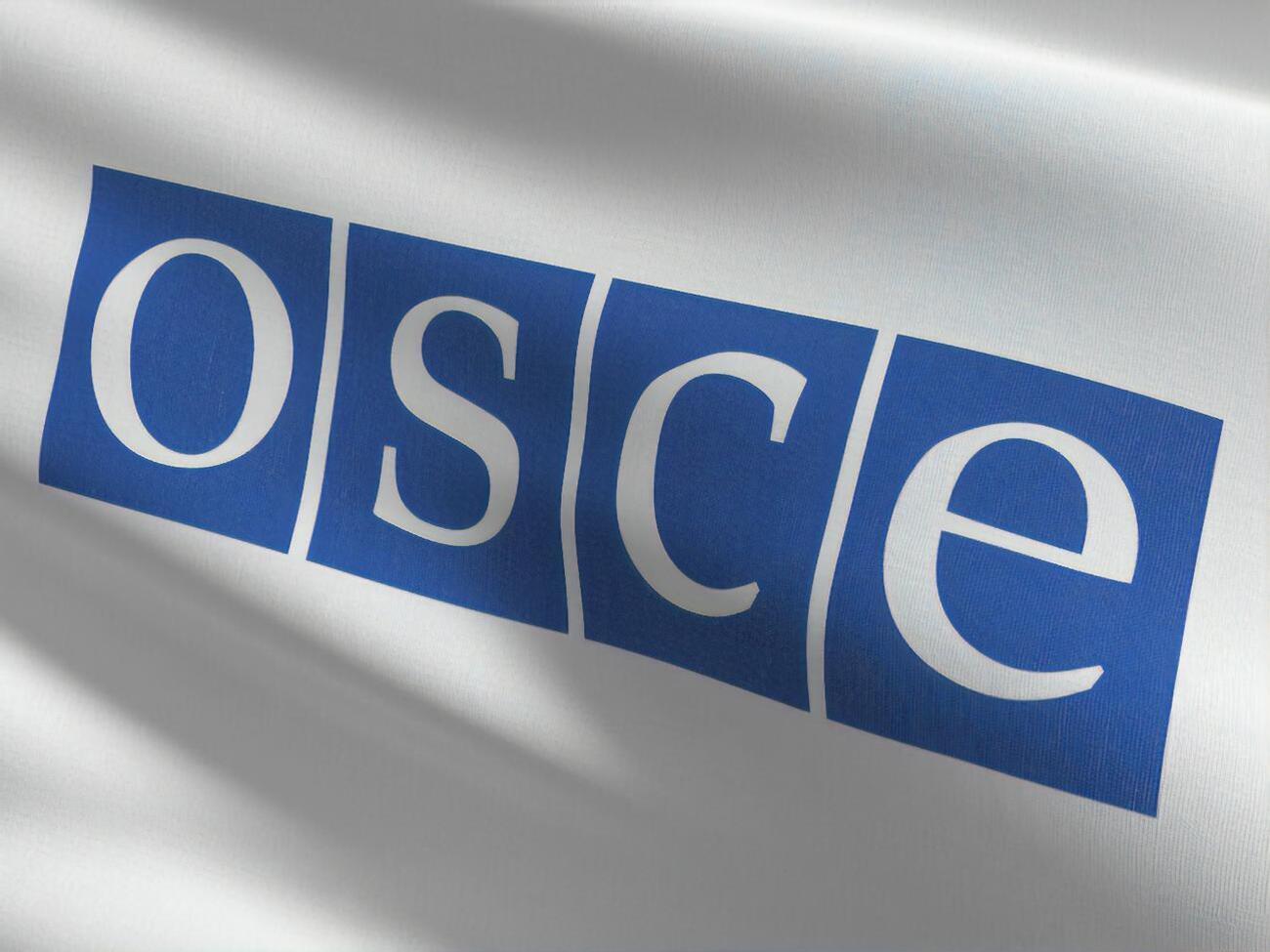 Украина в ОБСЕ заявила о геноциде со стороны РФ