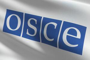 Украина в ОБСЕ заявила о геноциде со стороны РФ