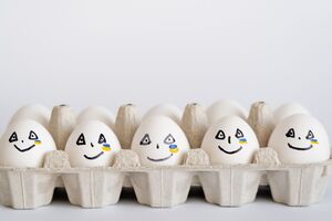 В октябре яйца в Украине подорожали до 60 грн за десяток, а иногда цена доходит до 80 грн