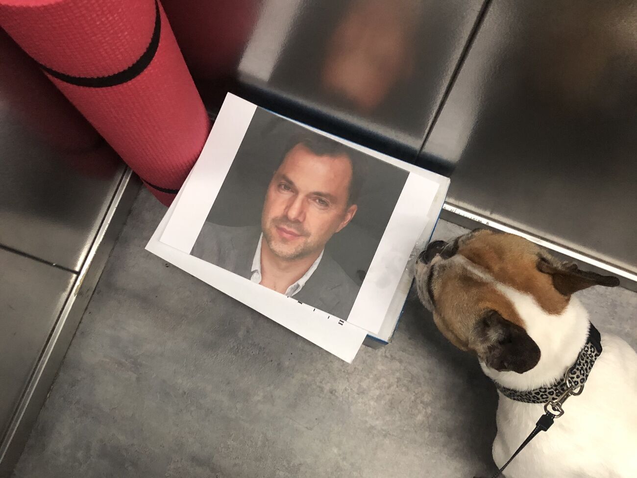 В "лифтовых наборах" можно встретить еду, воду, салфетки, стулья или подстилки, лекарства и даже портреты Арестовича