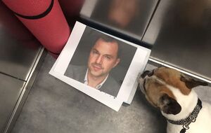 В "лифтовых наборах" можно встретить еду, воду, салфетки, стулья или подстилки, лекарства и даже портреты Арестовича