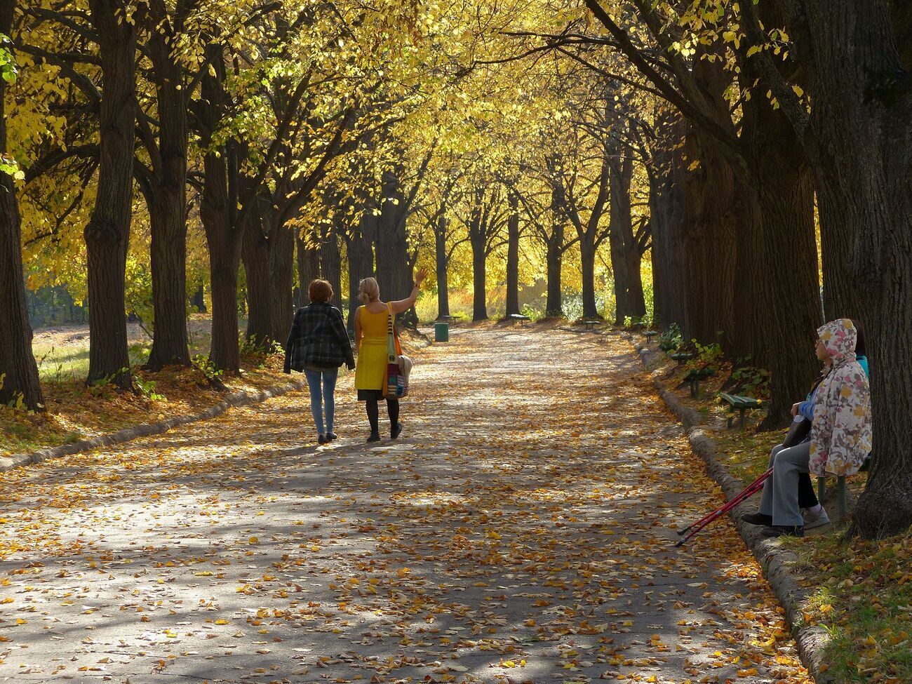 В сентябре в Киеве было прохладнее, чем обычно