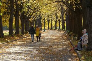 В сентябре в Киеве было прохладнее, чем обычно