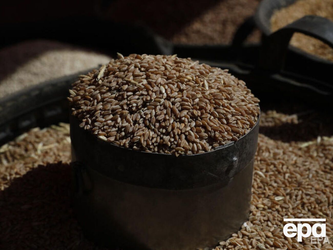 За підрахунками журналістів, від початку повномасштабного вторгнення в Україну Росія викрала українського зерна на суму щонайменше $530 млн