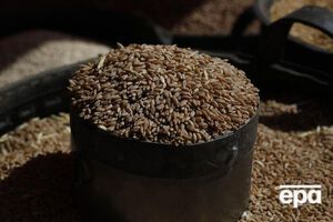 За підрахунками журналістів, від початку повномасштабного вторгнення в Україну Росія викрала українського зерна на суму щонайменше $530 млн