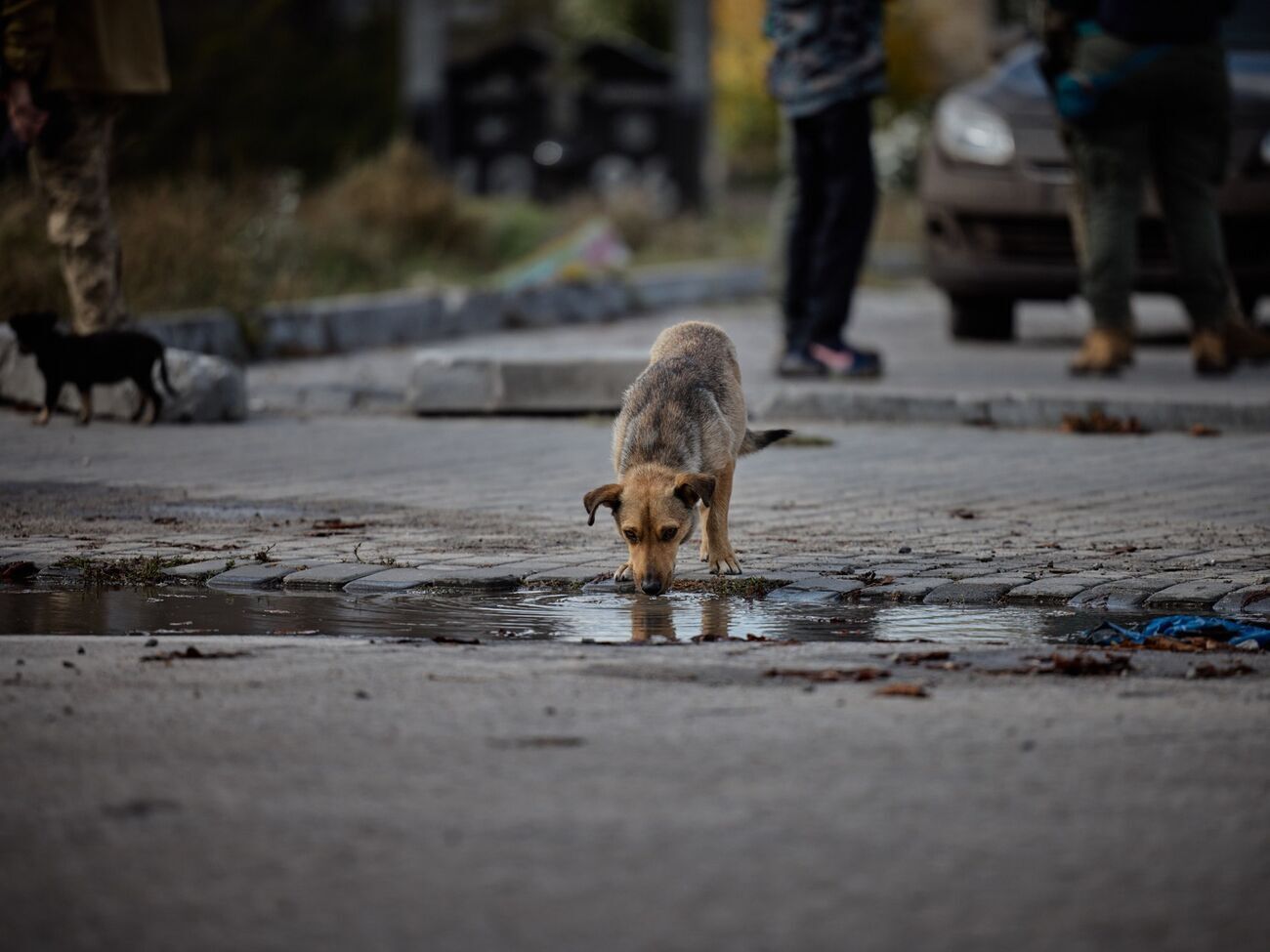 Зеленский показал, как выглядит освобожденный от оккупантов Лиман. Фоторепортаж