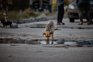 Зеленский показал, как выглядит освобожденный от оккупантов Лиман. Фоторепортаж