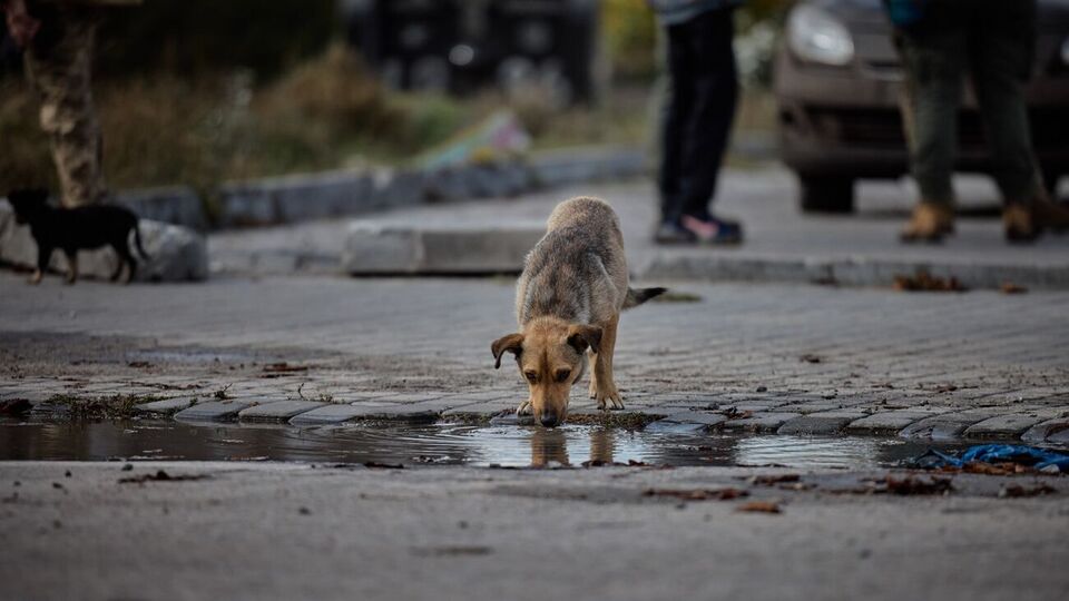 Зеленський показав, який вигляд має звільнений від окупантів Лиман. Фоторепортаж
