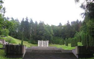 В Литве проголосовали за демонтаж памятника в начале июня 2022 года