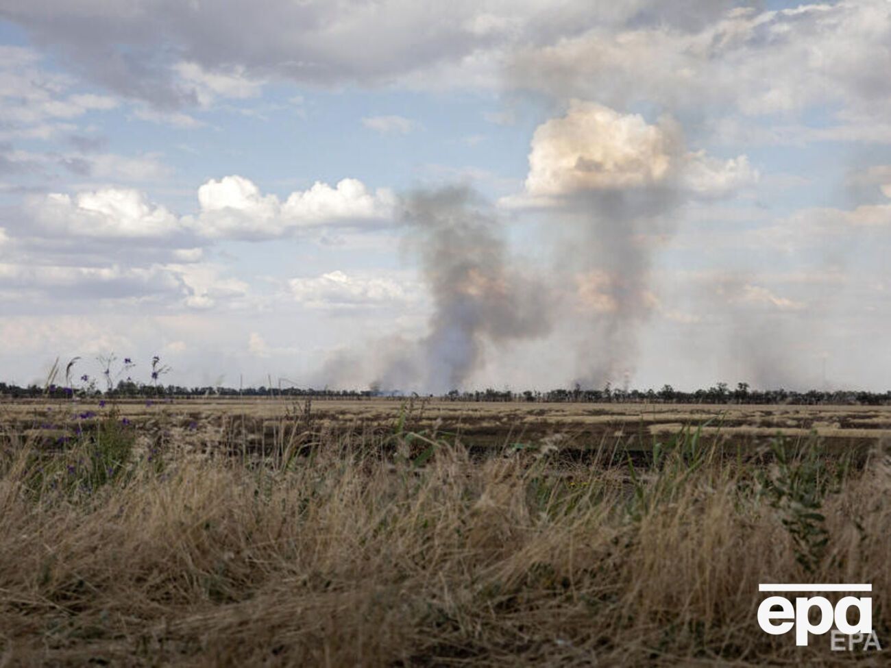 В Николаевской области ведется посевная кампания на деоккупированных территориях