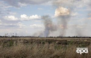 В Николаевской области ведется посевная кампания на деоккупированных территориях