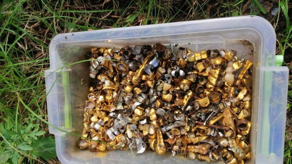 У катівнях окупантів виявили коробку із зубними коронками