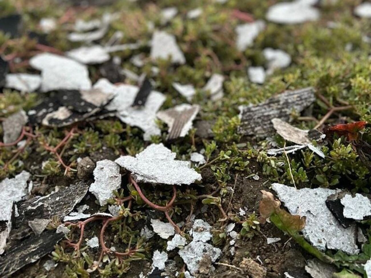 Россияне за день выпустили 84 боеприпаса по территории Сумской области, отметил Живицкий