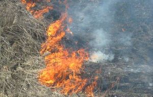 Позов про компенсацію за виїзд пожежників на гасіння вогню на користь ДСНС подала до суду прокуратура