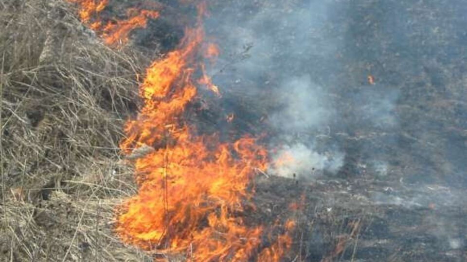 Позов про компенсацію за виїзд пожежників на гасіння вогню на користь ДСНС подала до суду прокуратура