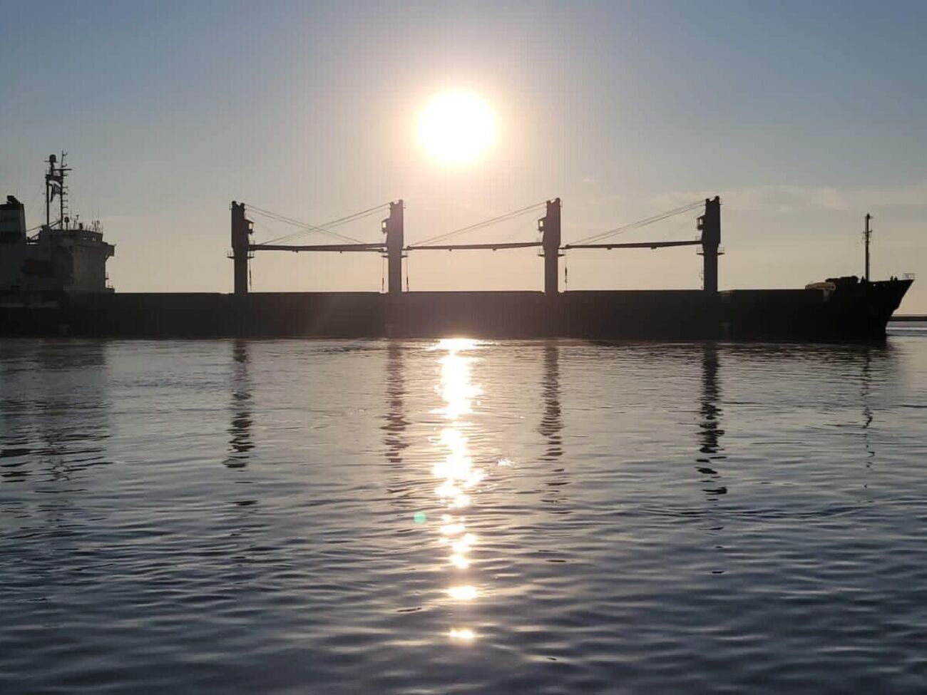 В УДП предполагали, что Россия может попытаться сорвать "зерновую инициативу"