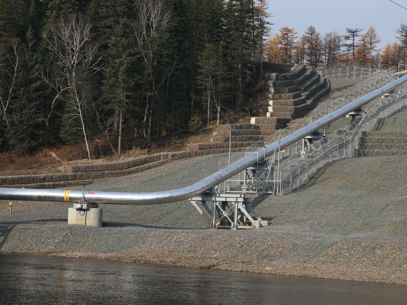 В компании заявили о значительном росте поставок в Китай по газопроводу "Сила Сибири"