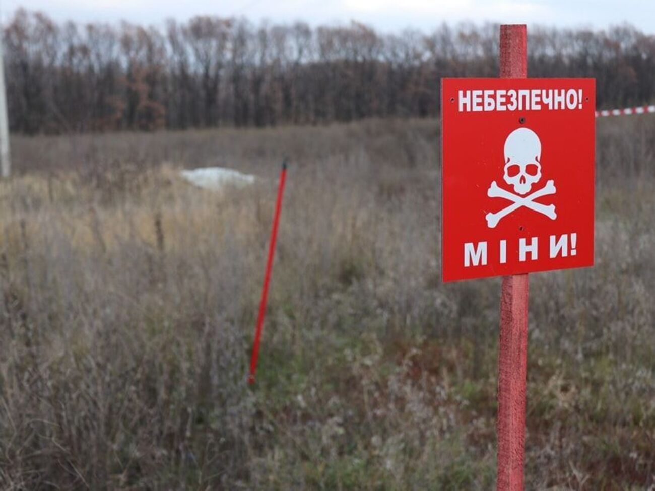 Міни, за словами президента, є головною небезпекою на деокупованих територіях Херсонської області