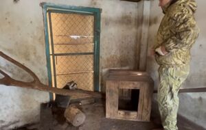 Єнотів та інших тварин вивезли до Криму