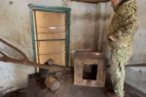 Енотов и других животных вывезли в Крым