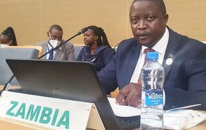 Какубо предположил, что его соотечественника завербовали на войну