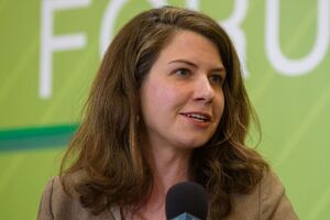 После промежуточных выборов в Конгресс поддержка США Украины не уменьшится, сказала Харинг