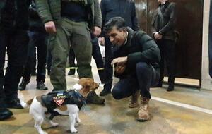 Патрон рассказал Сунаку "анекдот про саперов", пошутили в Twitter украинского пса