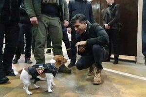 Патрон рассказал Сунаку "анекдот про саперов", пошутили в Twitter украинского пса