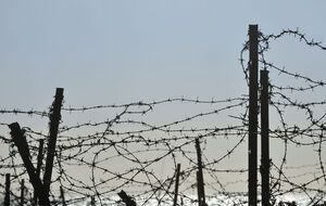 Строительство заграждения на границе начинается 2 ноября