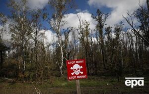 Процесс разминирования территории Украины после вторжения РФ займет годы, считают в МВД страны