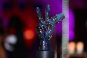 Премьера 12-го сезона шоу "Голос країни" состоялась 23 января. Проект прекратил выходить в эфир после полномасштабного вторжения России в Украину