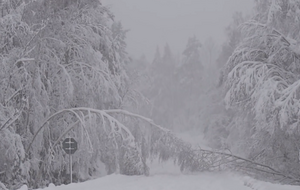 В некоторых регионах Швеции выпало по 30–40 см снега