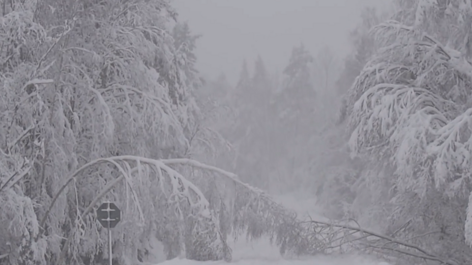 В некоторых регионах Швеции выпало по 30–40 см снега