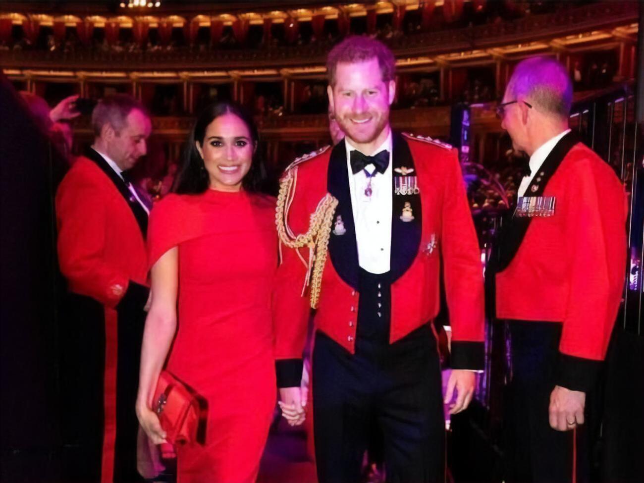 Герцогов Сассекских наградят за борьбу с расизмом