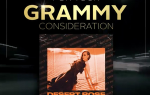 Сингл Стинга Desert Rose впервые увидел свет в 1999 году