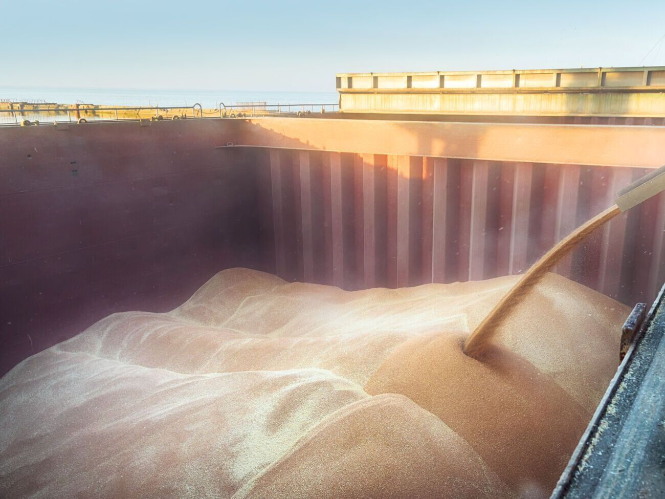 Украина основала программу продовольственной помощи бедным странам Grain From Ukraine