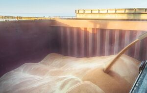 Украина основала программу продовольственной помощи бедным странам Grain From Ukraine