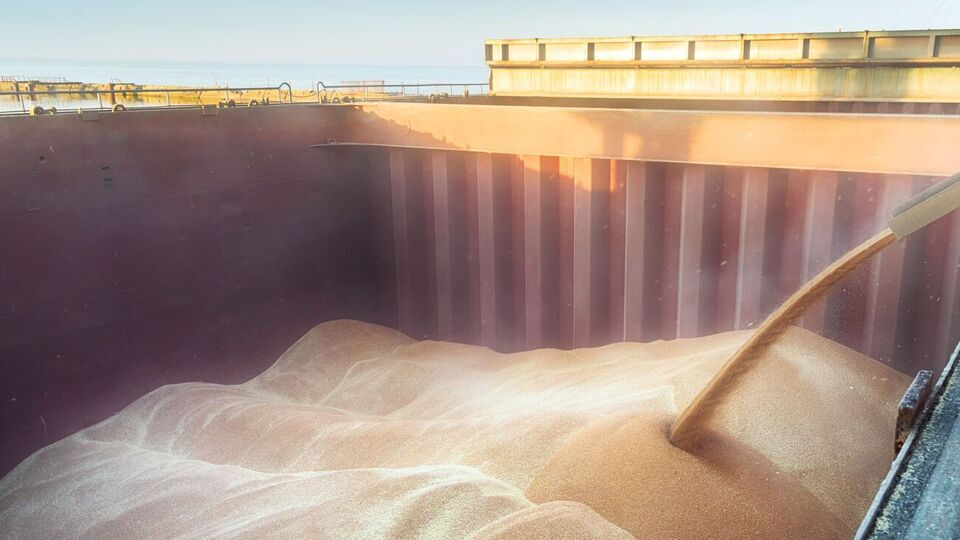 Украина основала программу продовольственной помощи бедным странам Grain From Ukraine