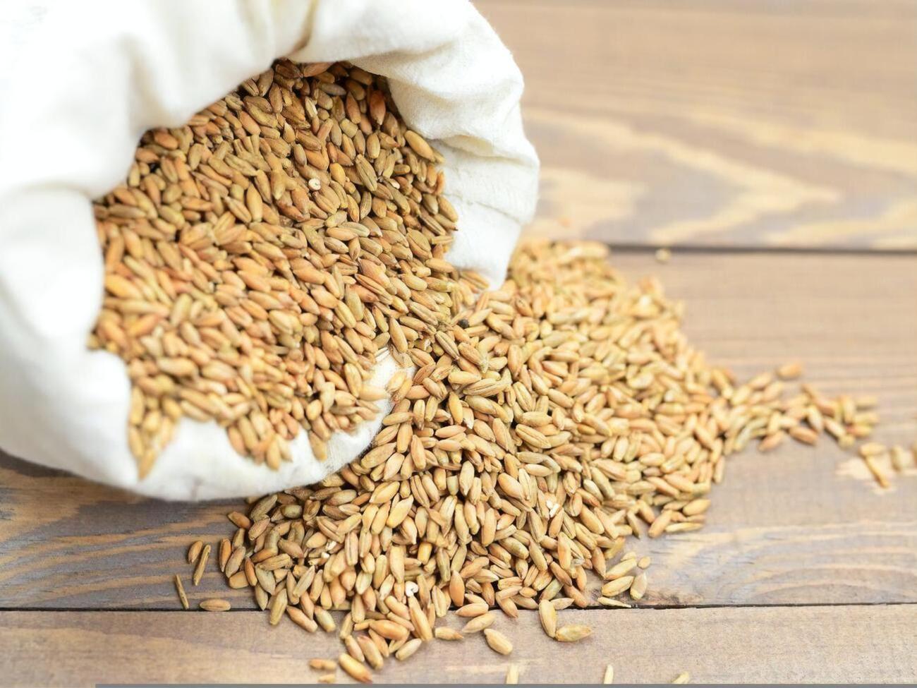 Зеленский отметил, что от голода планируется спасти 5 млн человек