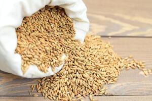 Зеленский отметил, что от голода планируется спасти 5 млн человек