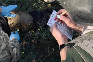 З березня до листопада 2022 року базову тактично-медичну підготовку від інструкторів Pulse пройшло понад 10 тис. військовослужбовців