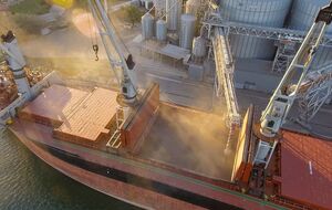 За програмою Grain from Ukraine до кінця наступної весни Україна планує відправити щонайменше 60 суден з агропродукцією до країн, які опинилися під загрозою голоду та посухи