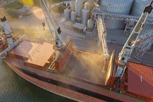За програмою Grain from Ukraine до кінця наступної весни Україна планує відправити щонайменше 60 суден з агропродукцією до країн, які опинилися під загрозою голоду та посухи