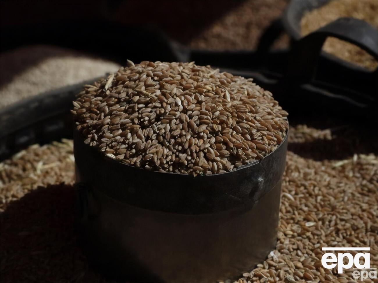 До ініціативи Grain from Ukraine долучилося понад 30 країн і організацій